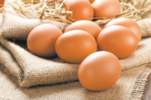 180 œufs consommés par habitant en 2017 selon l’ANPO