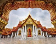 Insolite : Chirurgie plastique Insolite : Chirurgie plastique