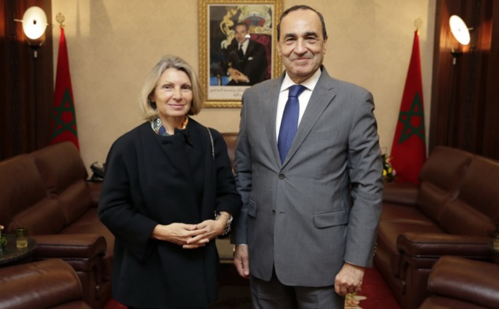 Le président de la Chambre des représentants reçoit l’ambassadrice d’Italie Le président de la Chambre des représentants reçoit l’ambassadrice d’Italie