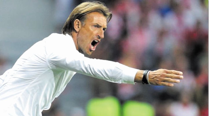 Hervé Renard : Se faire éliminer au premier tour du Mondial serait une déception Hervé Renard : Se faire éliminer au premier tour du Mondial serait une déception