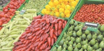 Fruit Logistica, un important débouché pour l'exportation des fruits et légumes marocains vers l'Europe