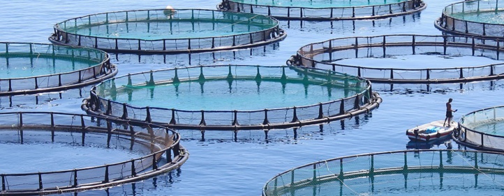 Pour une valorisation de l’aquaculture dans le Souss-Massa Pour une valorisation de l’aquaculture dans le Souss-Massa