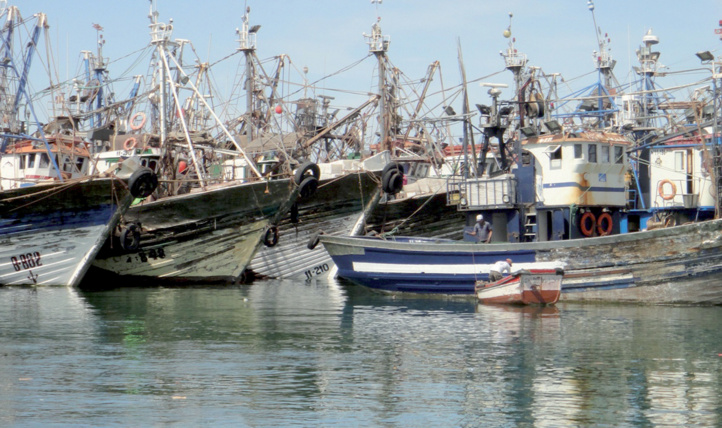Les professionnels marocains et espagnols de la pêche en conclave à Dakhla