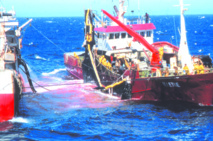 La CJUE servirait-elle de moyen de pression sur le Maroc ? La CJUE servirait-elle de moyen de pression sur le Maroc ?