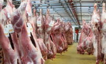 Création d'une commission chargée de la mise à niveau des abattoirs de la province d’El Jadida Création d'une commission chargée de la mise à niveau des abattoirs de la province d’El Jadida