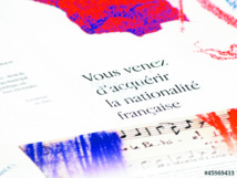 Naturalisation française : La jurisprudence en faveur des handicapés étrangers