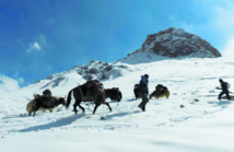A l'ombre des pics himalayens, une vertigineuse route commerciale dédiée au troc A l'ombre des pics himalayens, une vertigineuse route commerciale dédiée au troc