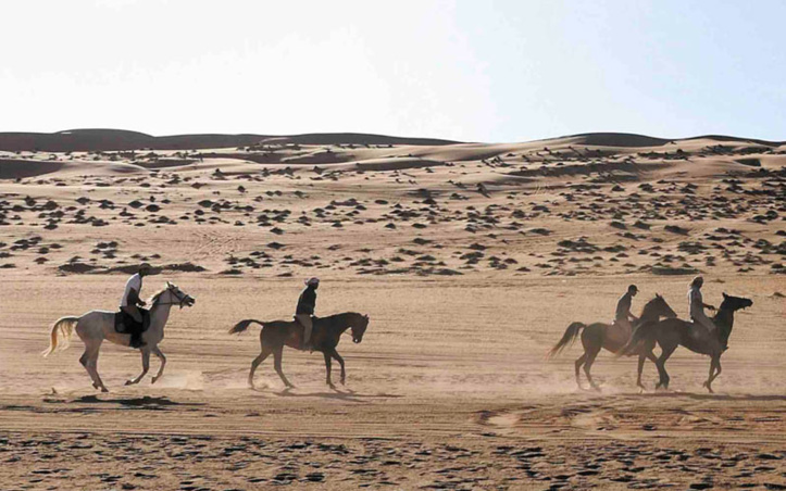 La première édition des “Gallops of Morocco” dans la région de Drâa-Tafilalet La première édition des “Gallops of Morocco” dans la région de Drâa-Tafilalet