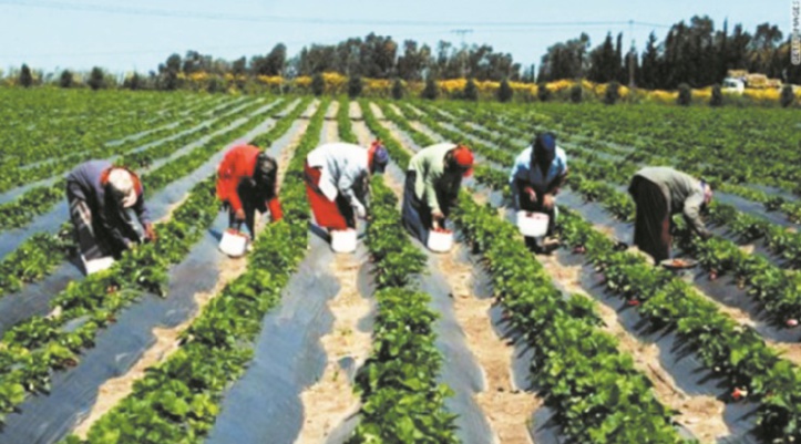 Une bourse des matières premières au service des pauvres en Ethiopie