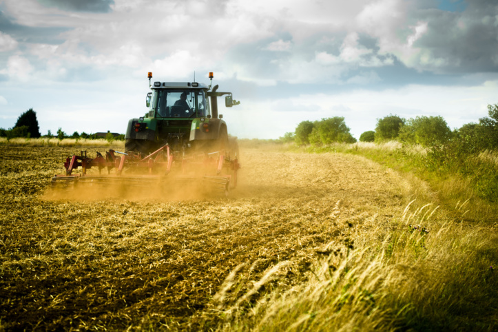 Les intrants agricoles sous exploités au Maroc