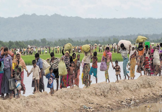 Le nettoyage ethnique des Rohingyas se poursuit Le nettoyage ethnique des Rohingyas se poursuit