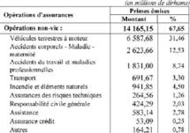 Avec des bénéfices en léger repli par rapport à 2008 : Le secteur des assurances affiche une croissance molle