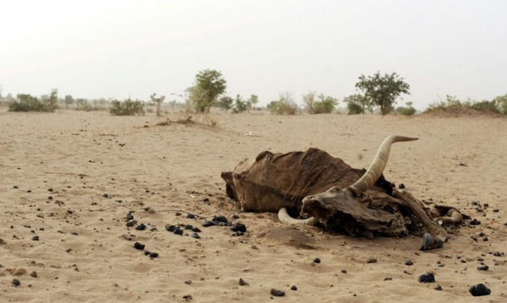 La famine a encore avancé dans le monde