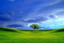 La valeur de l'environnement La valeur de l'environnement