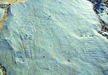 Découverte archéologique à Smara : Un site de gravures rupestres à Laghchiwat