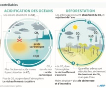 Même un réchauffement de 2°C aura une incidence importante