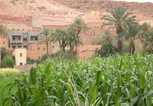 Tinghir : La grogne contre la soif Tinghir : La grogne contre la soif