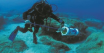 Chypre, en pointe contre l'invasion du poisson-lion en Méditerranée