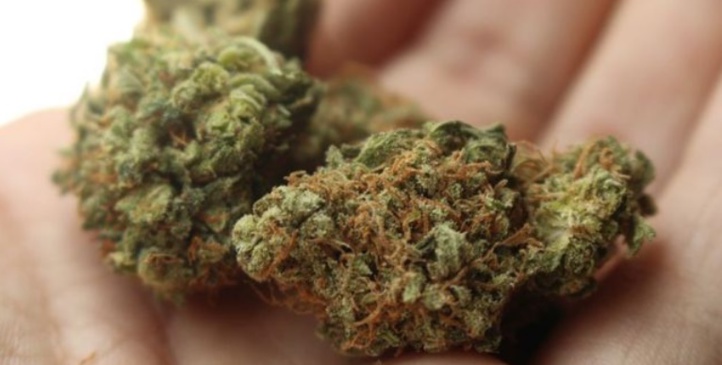 Insolite : Policiers suspendus Insolite : Policiers suspendus