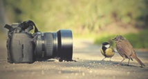 Le Maroc, invité d’honneur du Forum méditerranéen de la photographie