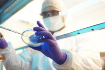 Des scientifiques créent par hasard une enzyme dévoreuse de plastique