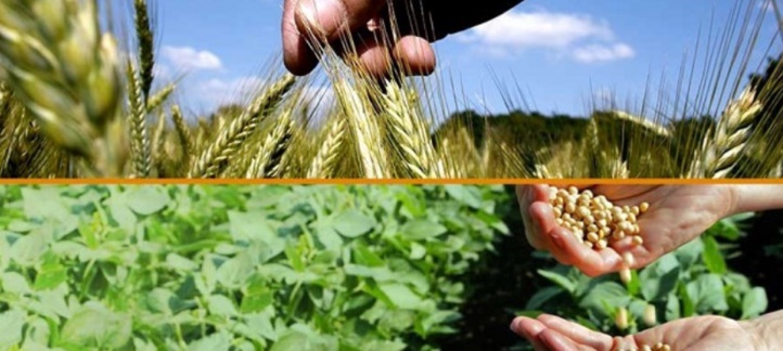 Le Maroc en passe de réussir son pari dans le domaine agricole Le Maroc en passe de réussir son pari dans le domaine agricole