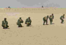 Le Polisario persiste à violer la légalité internationale Le Polisario persiste à violer la légalité internationale