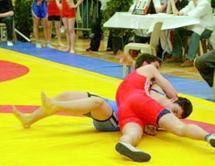 29ème édition du Championnat d'Afrique de lutte en Egypte : Une faible moisson en médailles pour le Maroc 29ème édition du Championnat d'Afrique de lutte en Egypte : Une faible moisson en médailles pour le Maroc