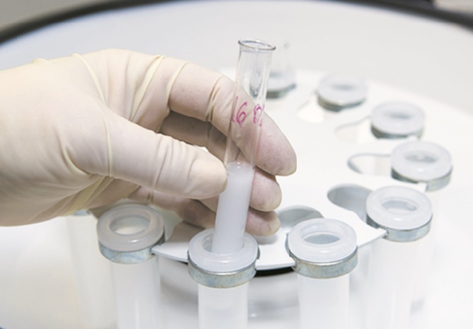 Des structures embryonnaires créées sans passer par la fécondation Des structures embryonnaires créées sans passer par la fécondation