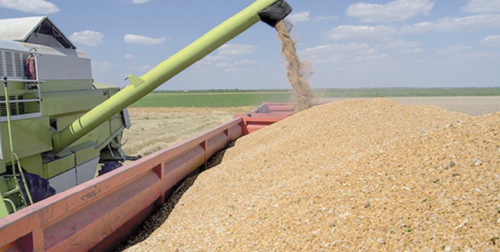 Coup de pouce du gouvernement à la campagne céréalière Coup de pouce du gouvernement à la campagne céréalière