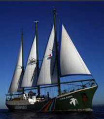 Greenpeace lance la construction de son nouveau Rainbow Warrior Greenpeace lance la construction de son nouveau Rainbow Warrior