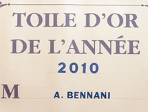 La Fédération nationale de la culture française décerne la Toile d'Or à Afif Bennani