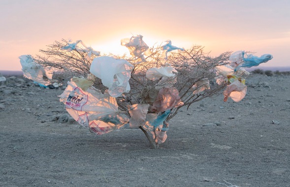Tara appelle à des JO de Tokyo-2020 sans plastique Tara appelle à des JO de Tokyo-2020 sans plastique