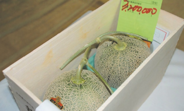 Insolite : Melons à 25.000 euros Insolite : Melons à 25.000 euros