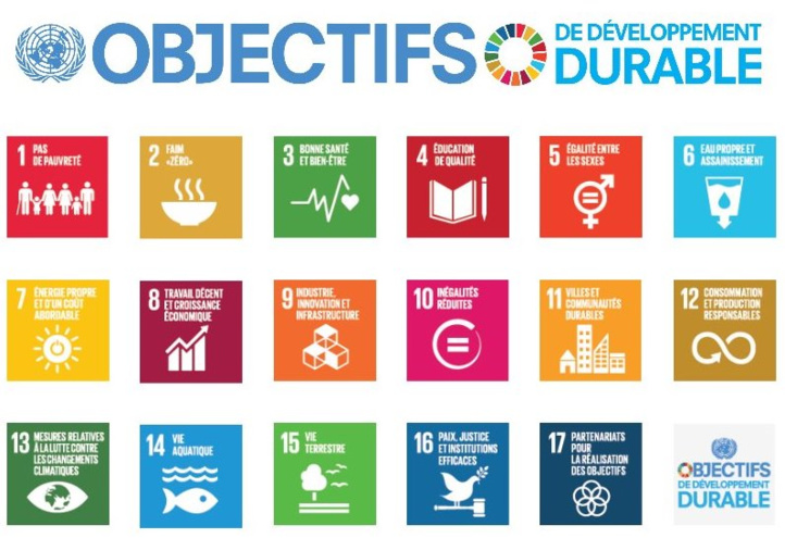 Répercussions des ODD sur les politiques publiques aux niveaux sectoriel et territorial Répercussions des ODD sur les politiques publiques aux niveaux sectoriel et territorial