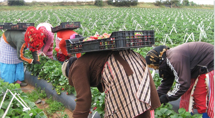 Le scandale Huelva Gate fait de nouvelles vagues Le scandale Huelva Gate fait de nouvelles vagues