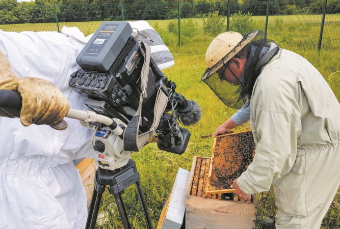 Heureux comme une abeille en Slovénie Heureux comme une abeille en Slovénie