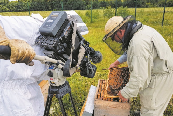 Heureux comme une abeille en Slovénie