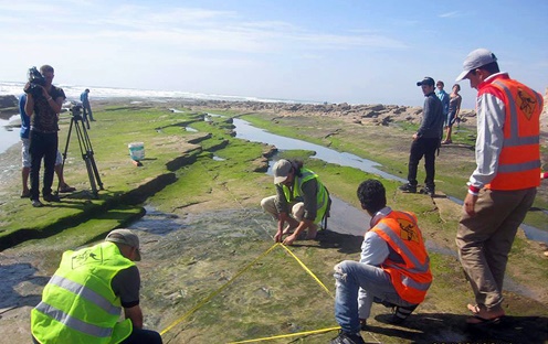 Le site d’empreintes de dinosaure d’Anza, patrimoine culturel national Le site d’empreintes de dinosaure d’Anza, patrimoine culturel national