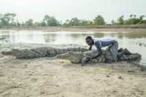 Au Burkina, le village où les crocodiles mangent des poulets, pas des hommes Au Burkina, le village où les crocodiles mangent des poulets, pas des hommes