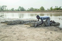 Au Burkina, le village où les crocodiles mangent des poulets, pas des hommes