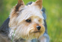 Insolite : Droit de visite Insolite : Droit de visite