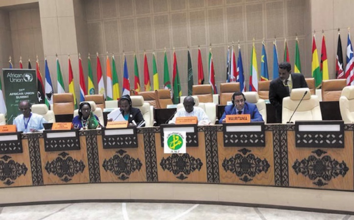 Le Maroc appelle à une nouvelle vision de l'action africaine commune Le Maroc appelle à une nouvelle vision de l'action africaine commune