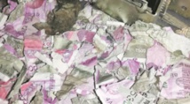 Insolite : Des roupies grignotées par des rats