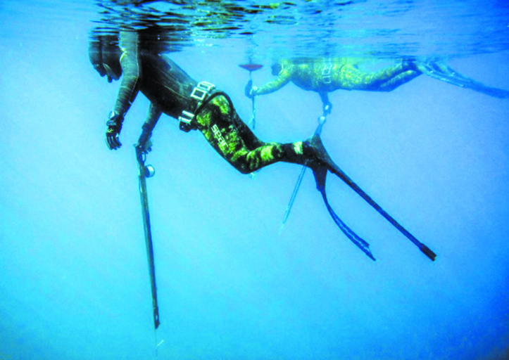 Au Liban, des pêcheurs militent  pour préserver la faune marine... avec leur harpon