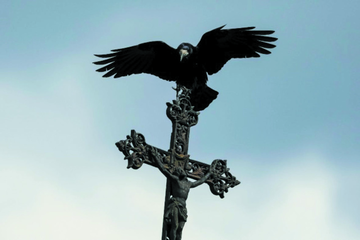 Des corbeaux capables de reproduire un objet de mémoire Des corbeaux capables de reproduire un objet de mémoire