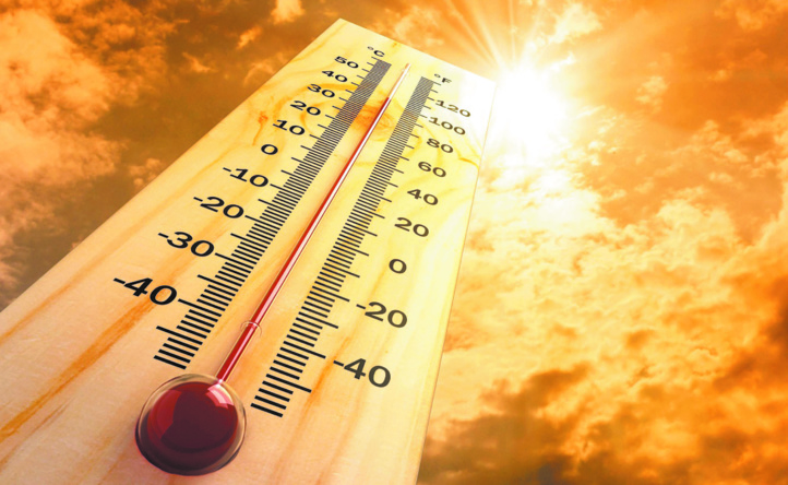 La chaleur menace de mort les trois quarts de l’humanité La chaleur menace de mort les trois quarts de l’humanité