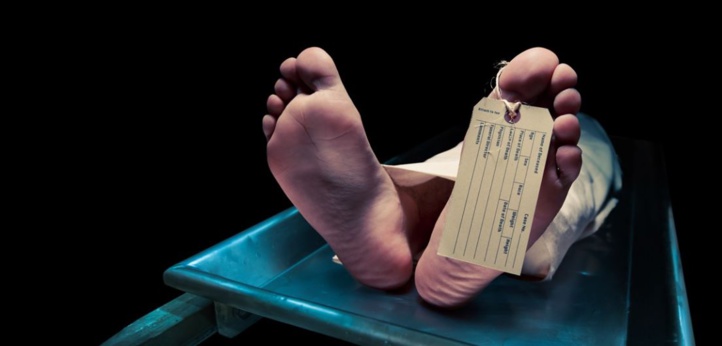 Insolite : ​​Morte vivante