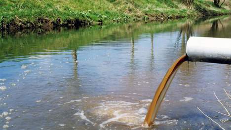 Moins de la moitié des eaux douces de l’UE en bon état écologique