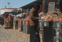 Marché de gros de Casablanca : Le directeur se défausse sur la Commune urbaine Marché de gros de Casablanca : Le directeur se défausse sur la Commune urbaine